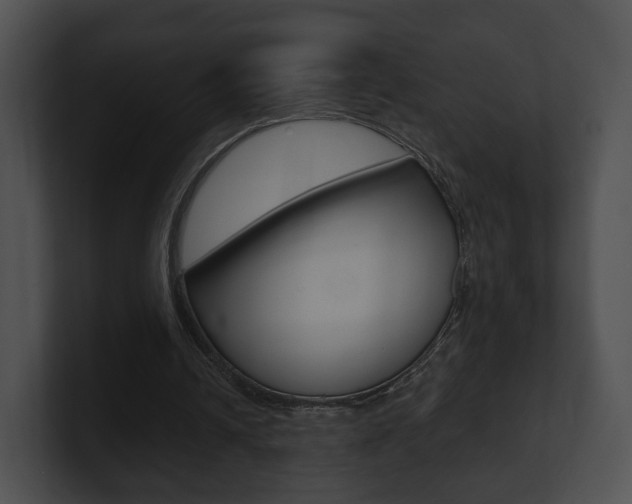 X0000100900242200806241036