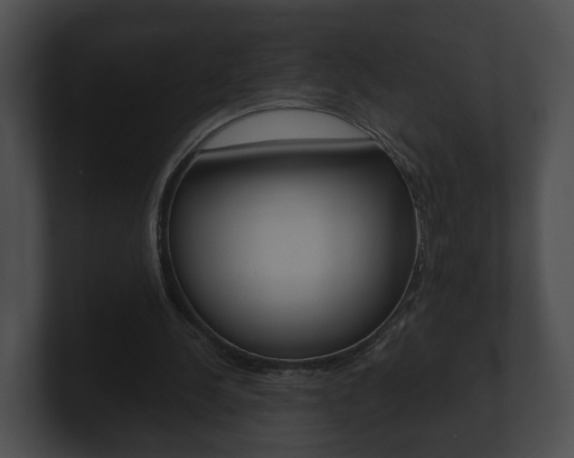 X0000100900244200806241036