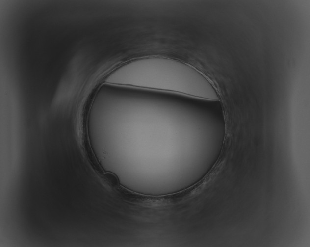 X0000100900245200806241036