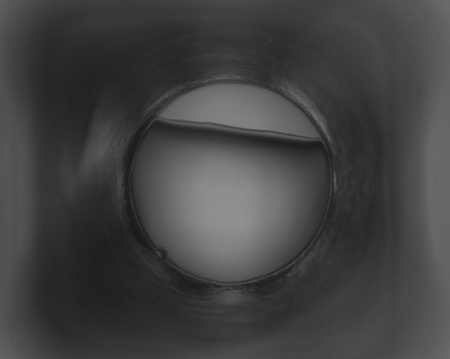 X0000100900249200806241036