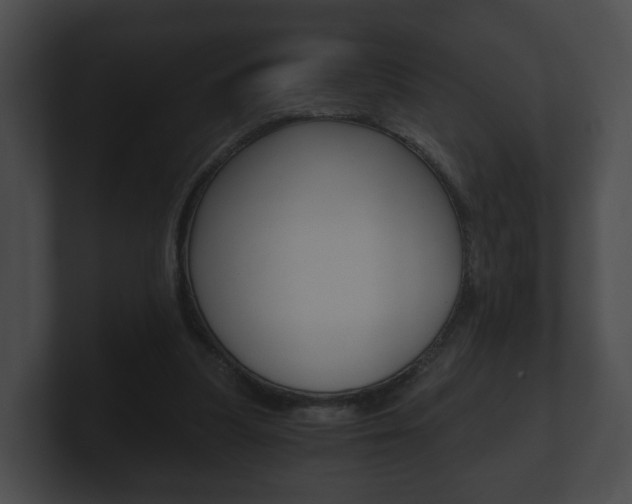 X0000100900251200806241036