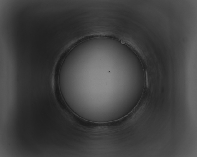 X0000100900252200806241036