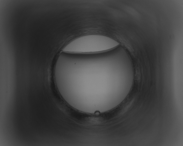 X0000100900255200806241036