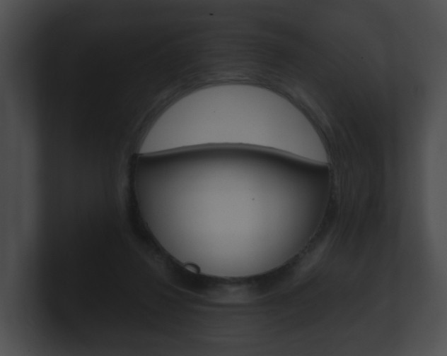 X0000100900260200806241036