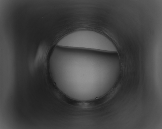 X0000100900265200806241036