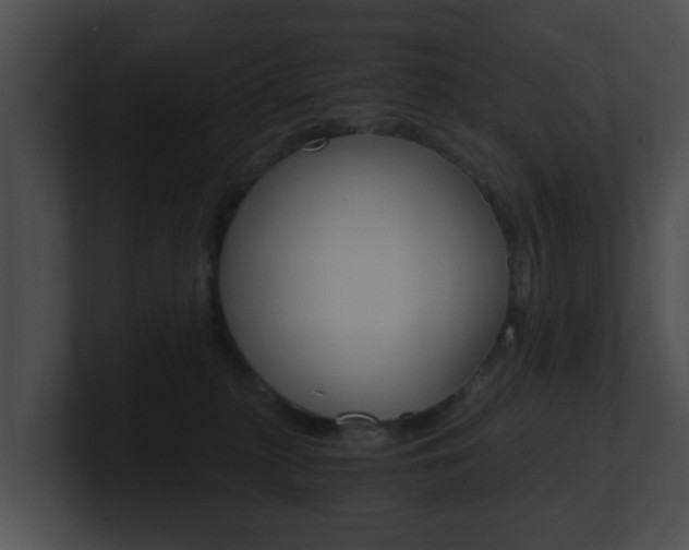 X0000100900279200806241037