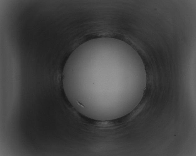 X0000100900281200806241037