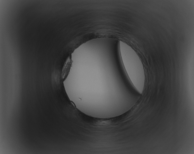 X0000100900283200806241037
