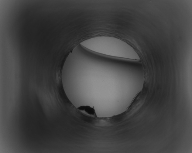X0000100900285200806241037