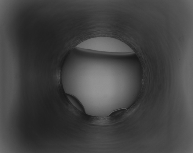 X0000100900288200806241037