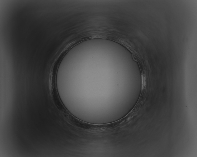 X0000100900291200806241036