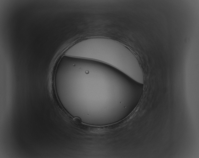 X0000100900293200806241036