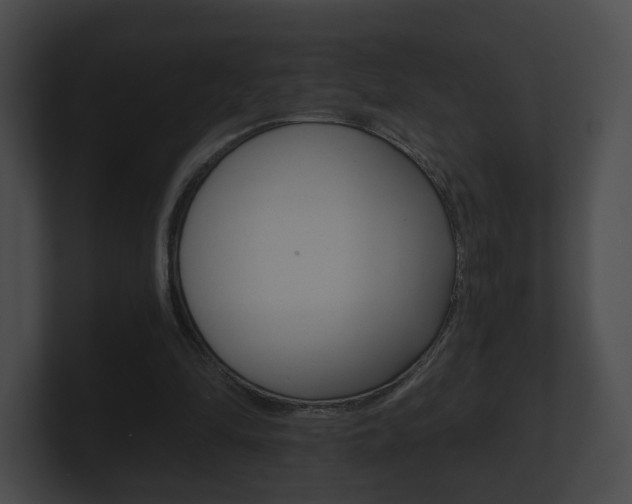 X0000100900294200806241036