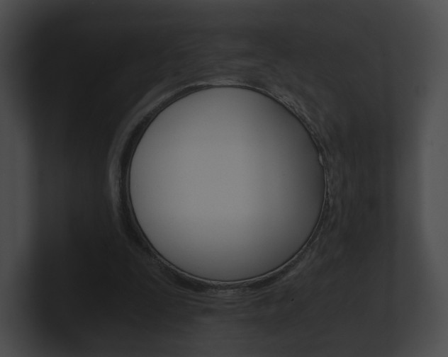 X0000100900295200806241036