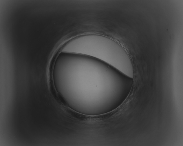X0000100900296200806241036