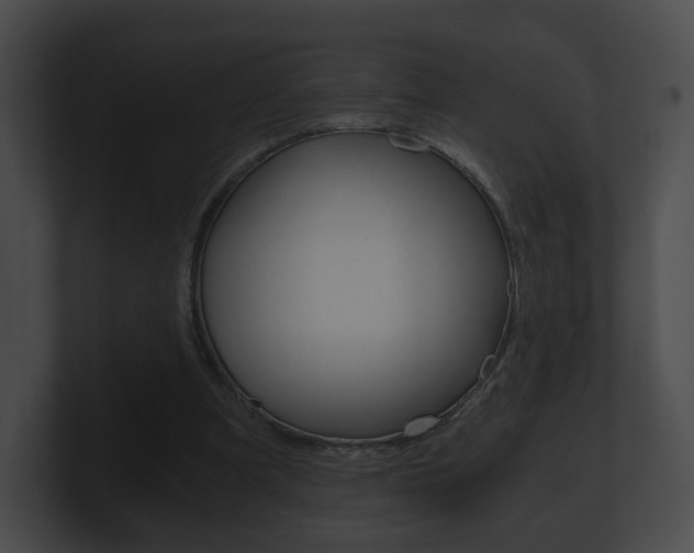 X0000100900297200806241036
