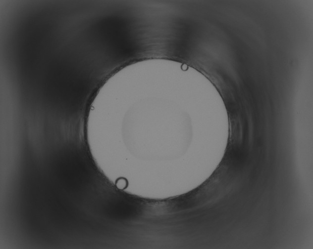 X0000100900301200806241036