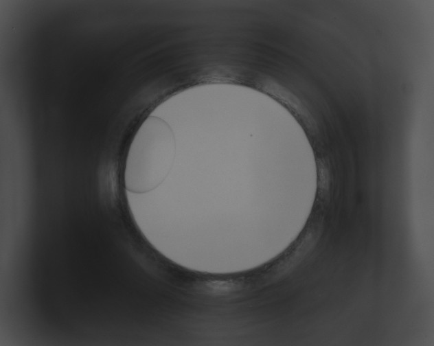X0000100900302200806241036