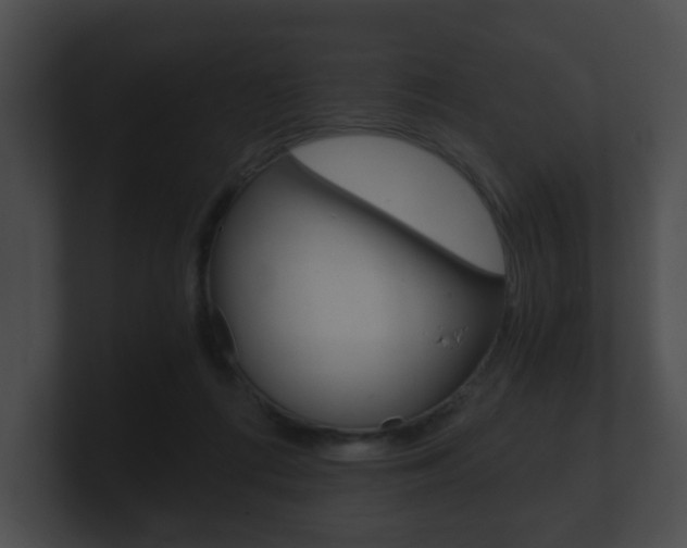 X0000100900312200806241036