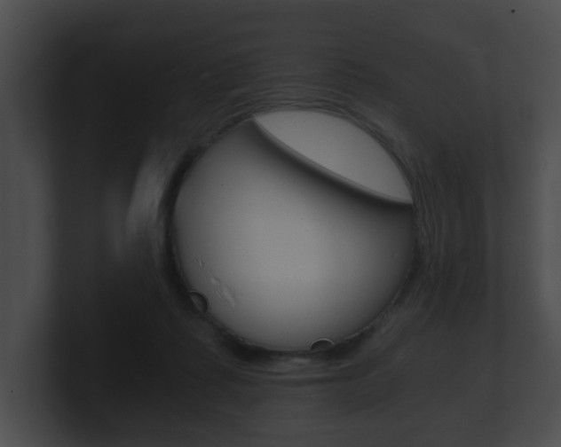 X0000100900315200806241036