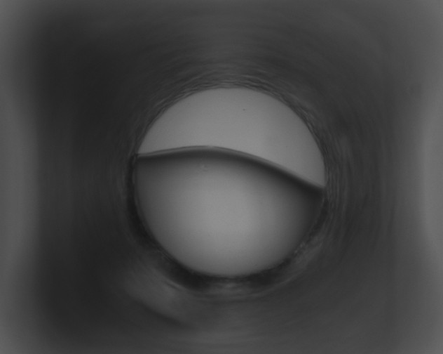 X0000100900319200806241036