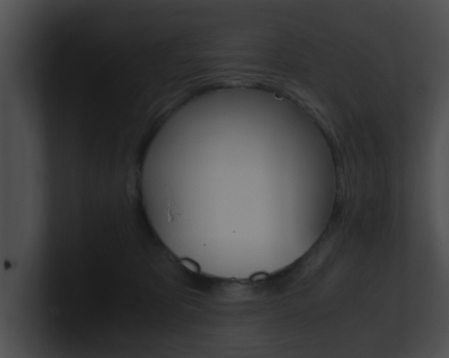 X0000100900325200806241036
