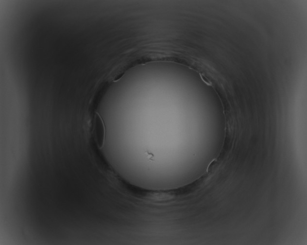 X0000100900327200806241035