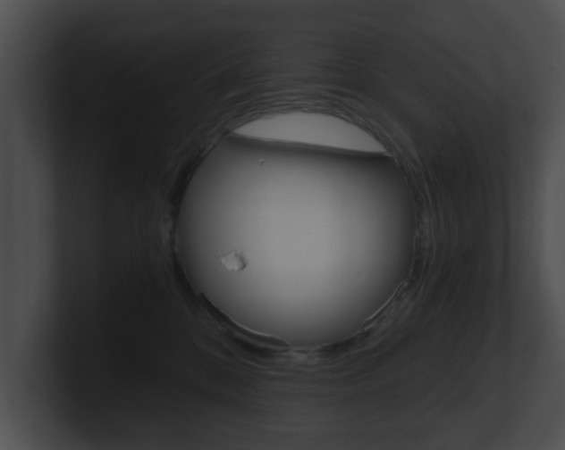 X0000100900328200806241035