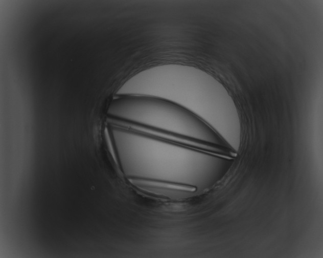 X0000100900332200806241035