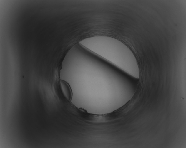 X0000100900335200806241035