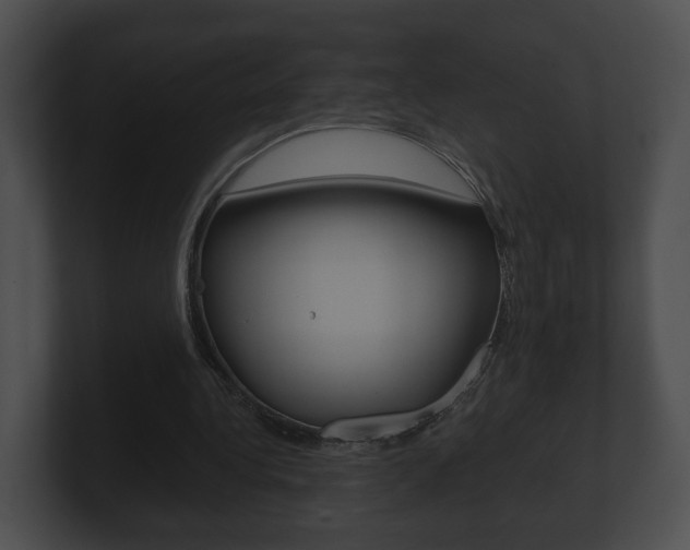 X0000100900340200806241035