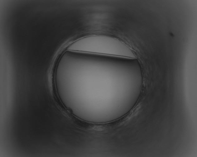 X0000100900341200806241035