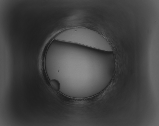 X0000100900342200806241035