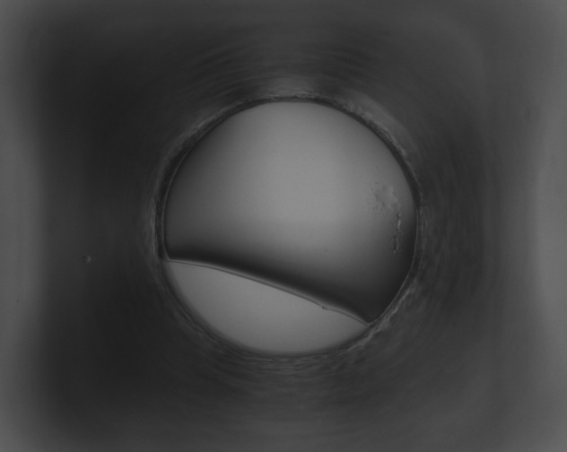 X0000100900345200806241035