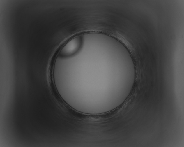 X0000100900346200806241035