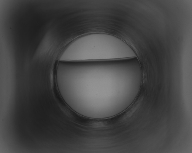 X0000100900349200806241035