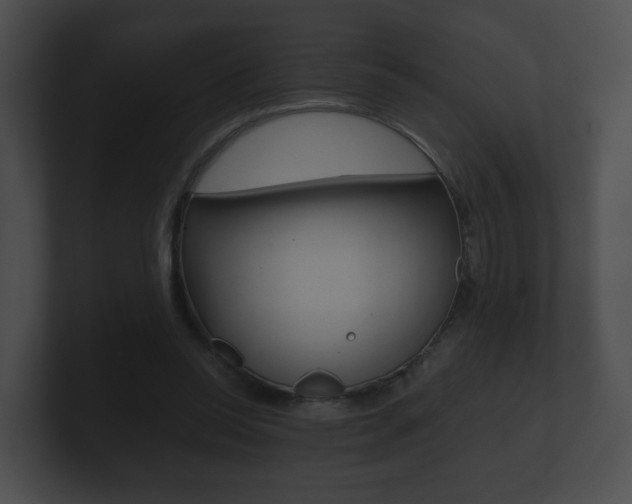 X0000100900350200806241035