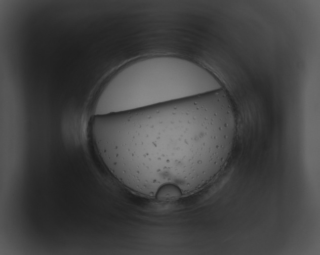 X0000100900351200806241035