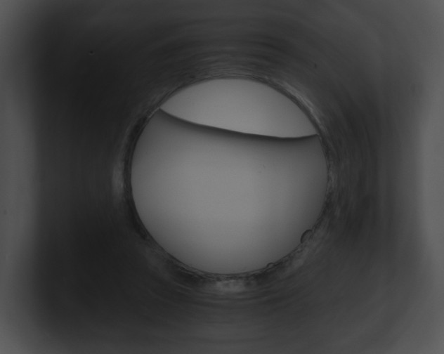 X0000100900353200806241035