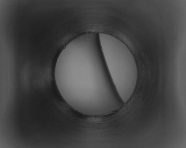 X0000100900354200806241035