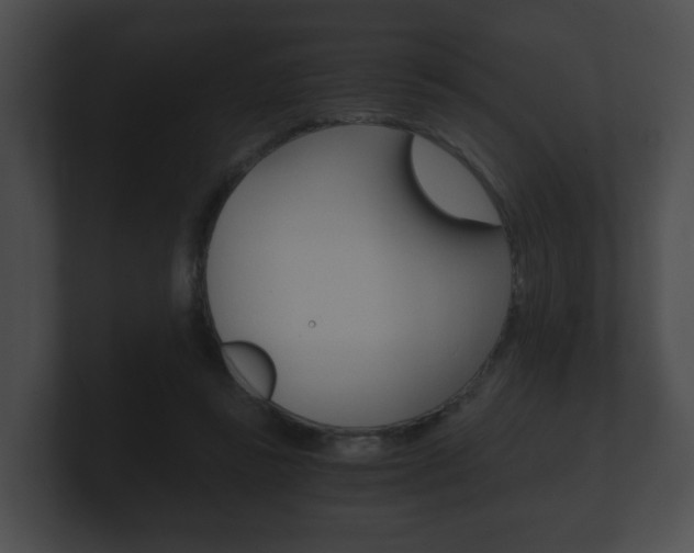 X0000100900355200806241035