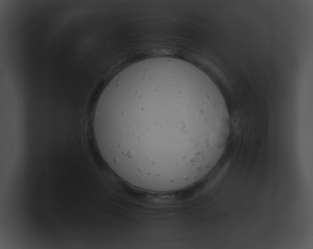 X0000100900359200806241035