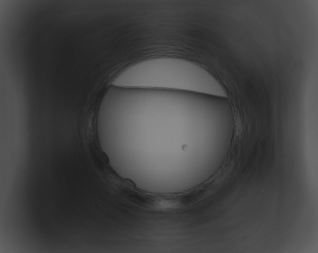 X0000100900360200806241035