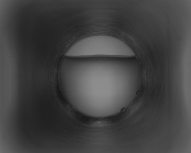 X0000100900364200806241035