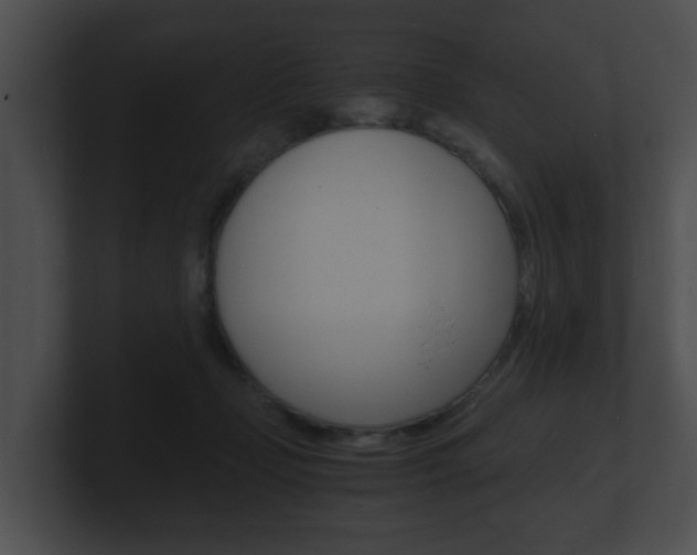X0000100900365200806241035