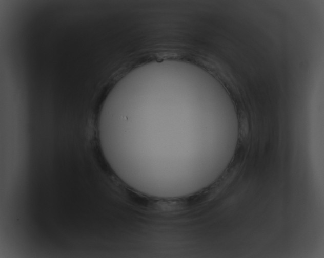 X0000100900367200806241035