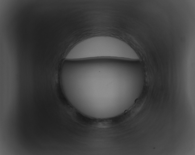 X0000100900368200806241035
