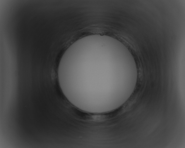 X0000100900371200806241035