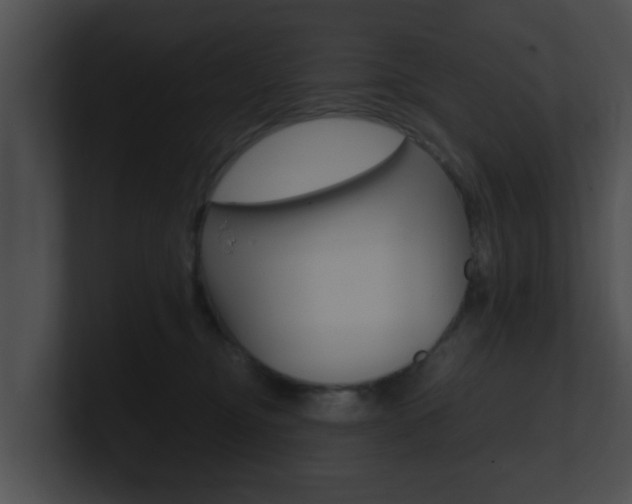 X0000100900374200806241035