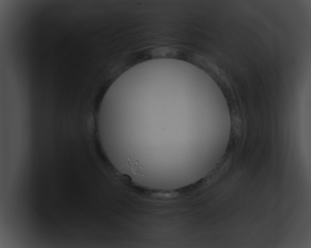 X0000100900375200806241035